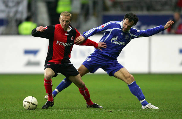 社区的盛会 社区的盛会